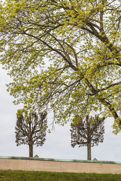 Bibikow, Walter 아티스트의 Sweden-Stockholm-trees-early spring작품입니다.